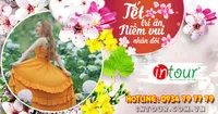 Tour Du Lịch Phan Thiết - Nha Trang - Đà Lạt 6 Ngày 5 Đêm Năm 2025Tết Nguyên Đán 2026