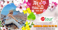 Tour Du Lịch Nha Trang 2 Ngày 1 Đêm  Tết Nguyên Đán 2026