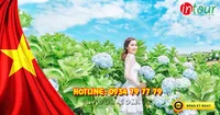Tour Du Lịch Đà Lạt 2 Ngày 1 Đêm  Lễ 30/4/ - 1/5/2025