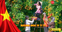 Tour Du Lịch miền Tây Mỹ Tho - Cần Thơ 2 Ngày 1 Đêm  Lễ 30/4/ - 1/5/2025