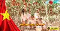 Tour Du Lịch Ninh Chữ - Vịnh Vĩnh Hy - Đảo Bình Hưng 2 Ngày 2 Đêm  Lễ 30/4/ - 1/5/2025
