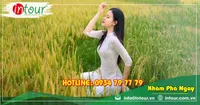 Tour Du Lịch Hòa Bình - Phú Quốc - Miền Tây 6 Ngày 5 Đêm Năm 2025