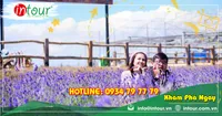 Tour Du Lịch Hà Nội - Đà Lạt 3 Ngày 2 Đêm Năm 2025