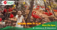 Tour Du Lịch Quảng Bình - Đà Lạt 3 Ngày 2 Đêm Năm 2025