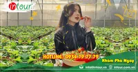 Tour Du Lịch Ninh Bình - Đà Lạt 3 Ngày 2 Đêm Năm 2025