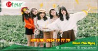 Tour Du Lịch Vĩnh Phúc - Nha Trang - Đà Lạt 4 Ngày 3 Đêm Năm 2025