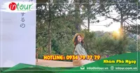 Tour Du Lịch Phan Thiết - Đà Lạt khởi hành từ Trà Vinh 4 Ngày 3 Đêm Năm 2025