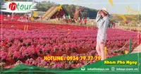 Tour Du Lịch Đà Nẵng - Đà Lạt 3 Ngày 2 Đêm Năm 2025
