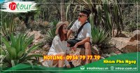 Tour Du Lịch Hà Tĩnh - Đà Lạt 3 Ngày 2 Đêm Năm 2025