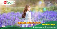 Tour Du Lịch Team Building Đà Lạt khởi hành từ Vĩnh Long 3 Ngày 3 Đêm Năm 2025