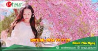 Tour Du Lịch Lào Cai - Nha Trang - Đà Lạt 4 Ngày 3 Đêm Năm 2025