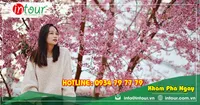Tour Du Lịch Lạng Sơn - Nha Trang - Đà Lạt 4 Ngày 3 Đêm Năm 2025