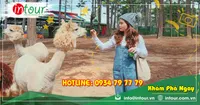 Tour Du Lịch Yên Bái - Đà Lạt 3 Ngày 2 Đêm Năm 2025