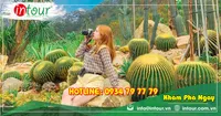 Tour Du Lịch Team Building Đà Lạt khởi hành từ Bạc Liêu 3 Ngày 3 Đêm Năm 2025