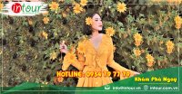 Tour Du Lịch Bà Rịa - Vũng Tàu - Phan Thiết - Đà Lạt 4 Ngày 3 Đêm Năm 2025