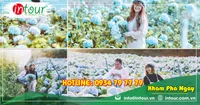 Tour Du Lịch Bắc Cạn - Nha Trang - Đà Lạt 4 Ngày 3 Đêm Năm 2025