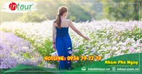 Tour Du Lịch Phan Thiết - Đà Lạt khởi hành từ Long An 4 Ngày 3 Đêm Năm 2025