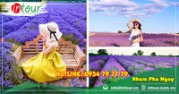 Tour Du Lịch Team Building Đà Lạt khởi hành từ Châu Đốc 3 Ngày 3 Đêm Năm 2025