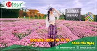 Tour Du Lịch Thanh Hóa đi Nha trang - Đà Lạt 4 Ngày 3 Đêm Năm 2025