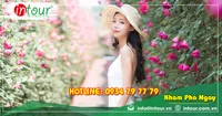 Tour Du Lịch Bình Dương - Nha Trang - Đà Lạt 4 Ngày 4 Đêm Năm 2025