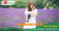 Tour Du Lịch Team Building Đà Lạt khởi hành từ Cà Mau 3 Ngày 3 Đêm Năm 2025