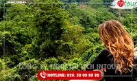 Tour Du Lịch Thái Nguyên - Đà Nẵng - Hội An - Bà Nà - Huế - Phong Nha 4 Ngày 3 Đêm Năm 2025