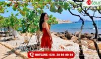 Tour Du Lịch Hà Nội - Đà Nẵng - Hội An - Bà Nà - Huế - Phong Nha 5 Ngày 4 Đêm Năm 2025