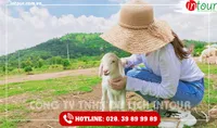 Tour Du Lịch Nam Định - Bình Châu- Vũng Tàu 3 Ngày 2 Đêm Năm 2025