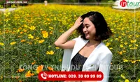 Tour Du Lịch Teambuilding Thái Nguyên - Bình Châu- Vũng Tàu 3 Ngày 2 Đêm Năm 2025