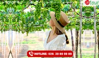 Tour Du Lịch Quảng Ngãi - Phan Thiết - Mũi Né 3 Ngày 2 Đêm Năm 2025