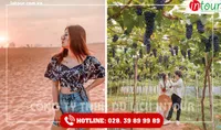 Tour Du Lịch Teambuilding Vĩnh Long đi Phan Thiết - Mũi Né 2 Ngày 1 Đêm Năm 2025