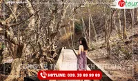Tour Du Lịch Teambuilding Quảng Nam đi Vũng Tàu 2 Ngày 1 Đêm Năm 2025