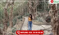 Tour Du Lịch Teambuilding Bình Thuận - Vũng Tàu 2 Ngày 1 Đêm Năm 2025