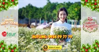 Tour Du Lịch miền Tây Đồng Tháp - Chùa Lá Sen 2 Ngày 1 Đêm Tết Dương Lịch 2026