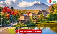 Tour Du Lịch Nhật Bản Tokyo - Hakone - Fuji - Odaiba 4 Ngày 4 Đêm 2025