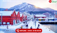 Tour Du Lịch Nhật Bản 4 Ngày 3 Đêm  Tết Nguyên Đán 2026