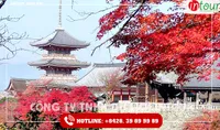Tour Du Lịch Nhật Bản 7 Ngày 6 Đêm  Tết Nguyên Đán 2026