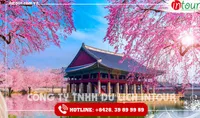 Tour Du Lịch Hàn Quốc 5 Ngày 4 Đêm  Tết Nguyên Đán 2026