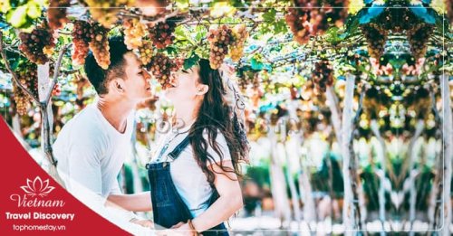 Tour Khám Phá Đông Bắc Ninh Thuận Trong Ngày