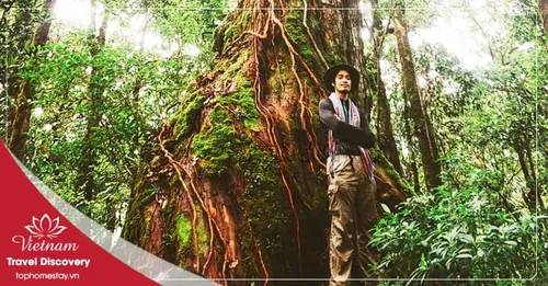 Tour trekking vườn quốc gia Bidoup 3 Ngày 2 Đêm Năm 2025