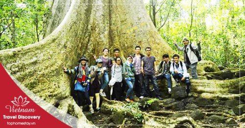 Tour trekking rừng Nam Cát Tiên 2 Ngày 1 Đêm Năm 2025