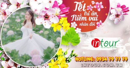 Tour Du Lịch Đà Lạt 2 Ngày 1 Đêm  Tết Nguyên Đán 2026