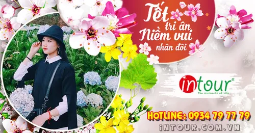 Tour Du Lịch Đà Lạt 3 Ngày 3 Đêm  Tết Nguyên Đán 2026