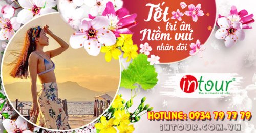 Tour Du Lịch Ninh Chữ Vĩnh Hy 2 Ngày 2 Đêm Tết Nguyên Đán 2026