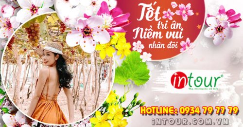 Tour Du Lịch Ninh Chữ - Vĩnh Hy 3 Ngày 2 Đêm Năm 2025 Tết Nguyên Đán