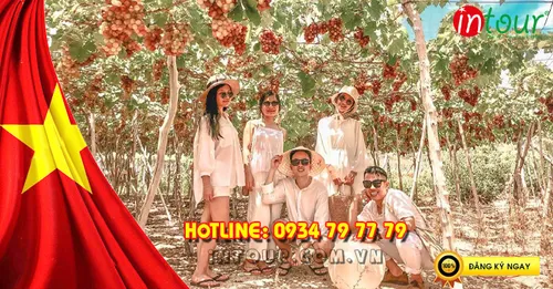 Tour Du Lịch Ninh Chữ - Vịnh Vĩnh Hy - Đảo Bình Hưng 2 Ngày 2 Đêm  Lễ 30/4/ - 1/5/2025