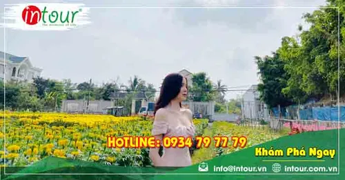 Tour Du Lịch Huế - Phú Quốc - Miền Tây 6 Ngày 5 Đêm Năm 2025