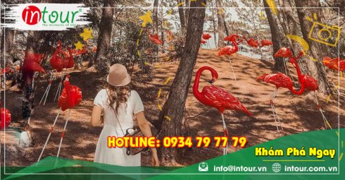 Tour Du Lịch Quảng Bình - Đà Lạt 3 Ngày 2 Đêm Năm 2025