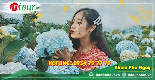 Tour Du Lịch Phú Thọ - Đà Lạt 3 Ngày 2 Đêm Năm 2025