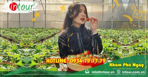 Tour Du Lịch Ninh Bình - Đà Lạt 3 Ngày 2 Đêm Năm 2025
